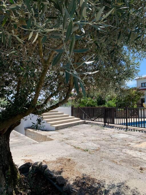 Вілла Casa Da Oliveira Нелаш Екстер'єр фото